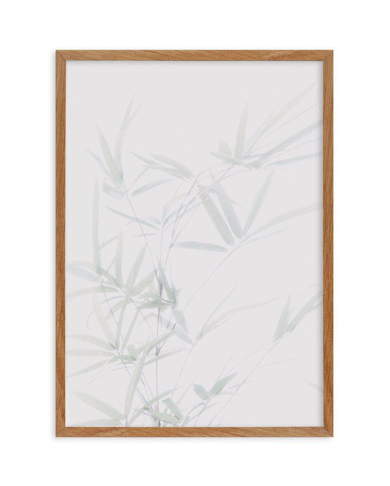 Bamboo I Art Print-PRINT-Olive et Oriel-Olive et Oriel-50x70 cm | 19.6" x 27.5"-Walnut-With White Border-Buy-Australian-Art-Prints-Online-with-Olive-et-Oriel-Your-Artwork-Specialists-Austrailia-Decorate-With-Coastal-Photo-Wall-Art-Prints-From-Our-Beach-House-Artwork-Collection-Fine-Poster-and-Framed-Artwork