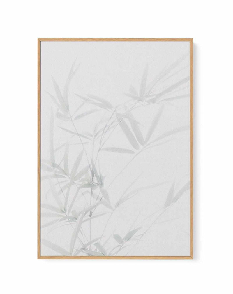 Bamboo I | Framed Canvas