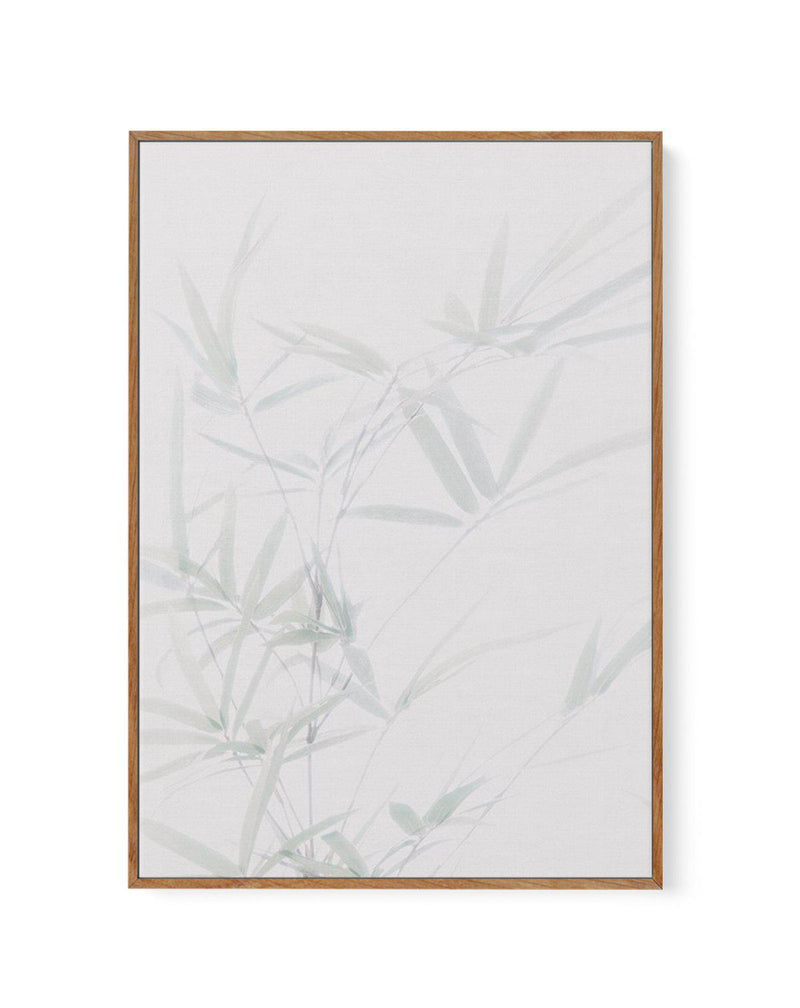 Bamboo I | Framed Canvas-CANVAS-You can shop wall art online with Olive et Oriel for everything from abstract art to fun kids wall art. Our beautiful modern art prints and canvas art are available from large canvas prints to wall art paintings and our proudly Australian artwork collection offers only the highest quality framed large wall art and canvas art Australia - You can buy fashion photography prints or Hampton print posters and paintings on canvas from Olive et Oriel and have them deliver