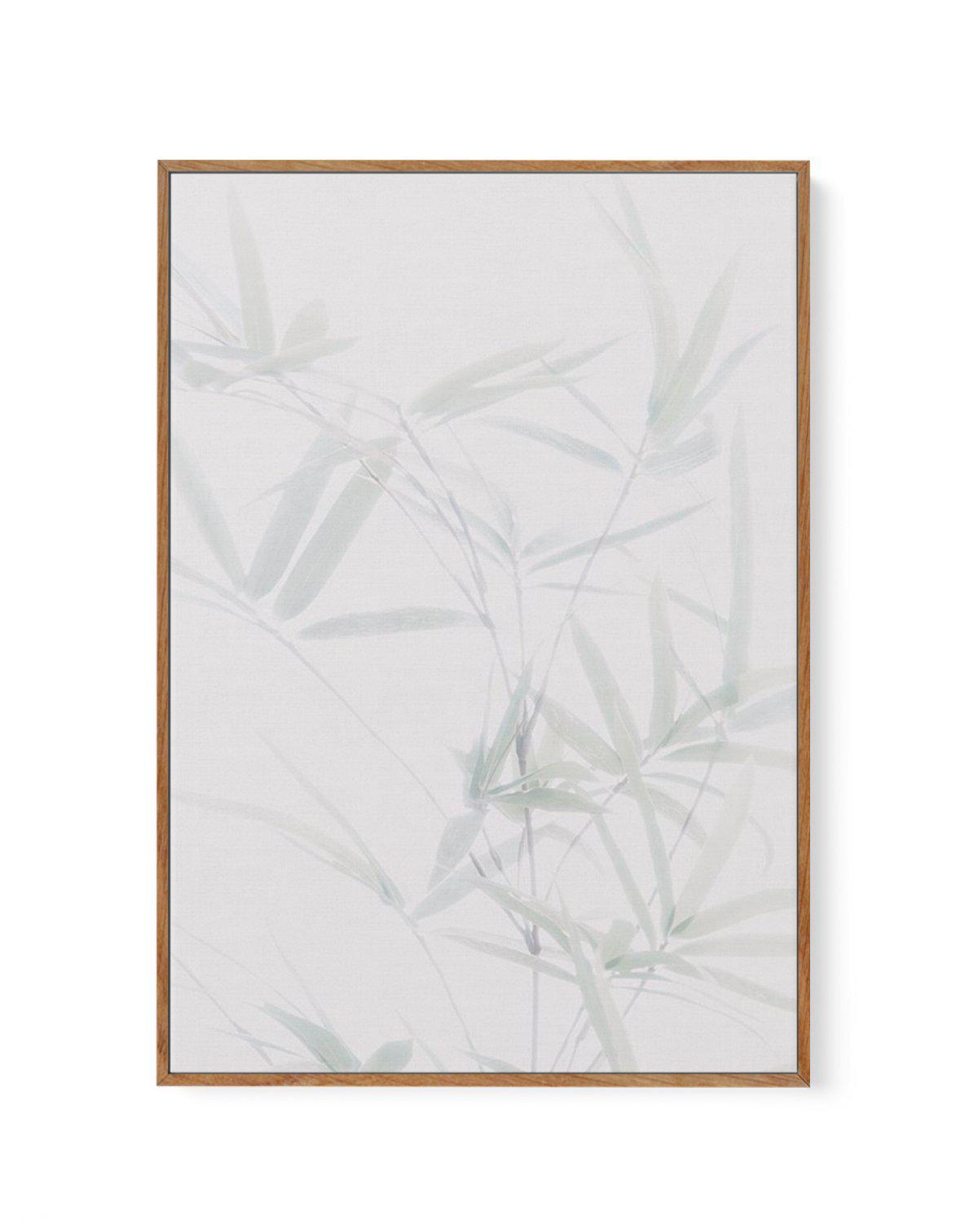 Bamboo II | Framed Canvas-CANVAS-You can shop wall art online with Olive et Oriel for everything from abstract art to fun kids wall art. Our beautiful modern art prints and canvas art are available from large canvas prints to wall art paintings and our proudly Australian artwork collection offers only the highest quality framed large wall art and canvas art Australia - You can buy fashion photography prints or Hampton print posters and paintings on canvas from Olive et Oriel and have them delive