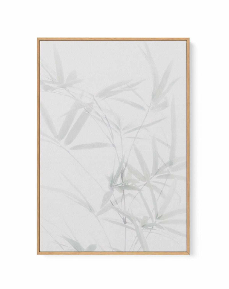 Bamboo II | Framed Canvas