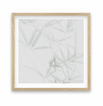 Bamboo II | SQ Art Print-PRINT-Olive et Oriel-Olive et Oriel-70x70 cm | 27.5" x 27.5"-Oak-With White Border-Buy-Australian-Art-Prints-Online-with-Olive-et-Oriel-Your-Artwork-Specialists-Austrailia-Decorate-With-Coastal-Photo-Wall-Art-Prints-From-Our-Beach-House-Artwork-Collection-Fine-Poster-and-Framed-Artwork