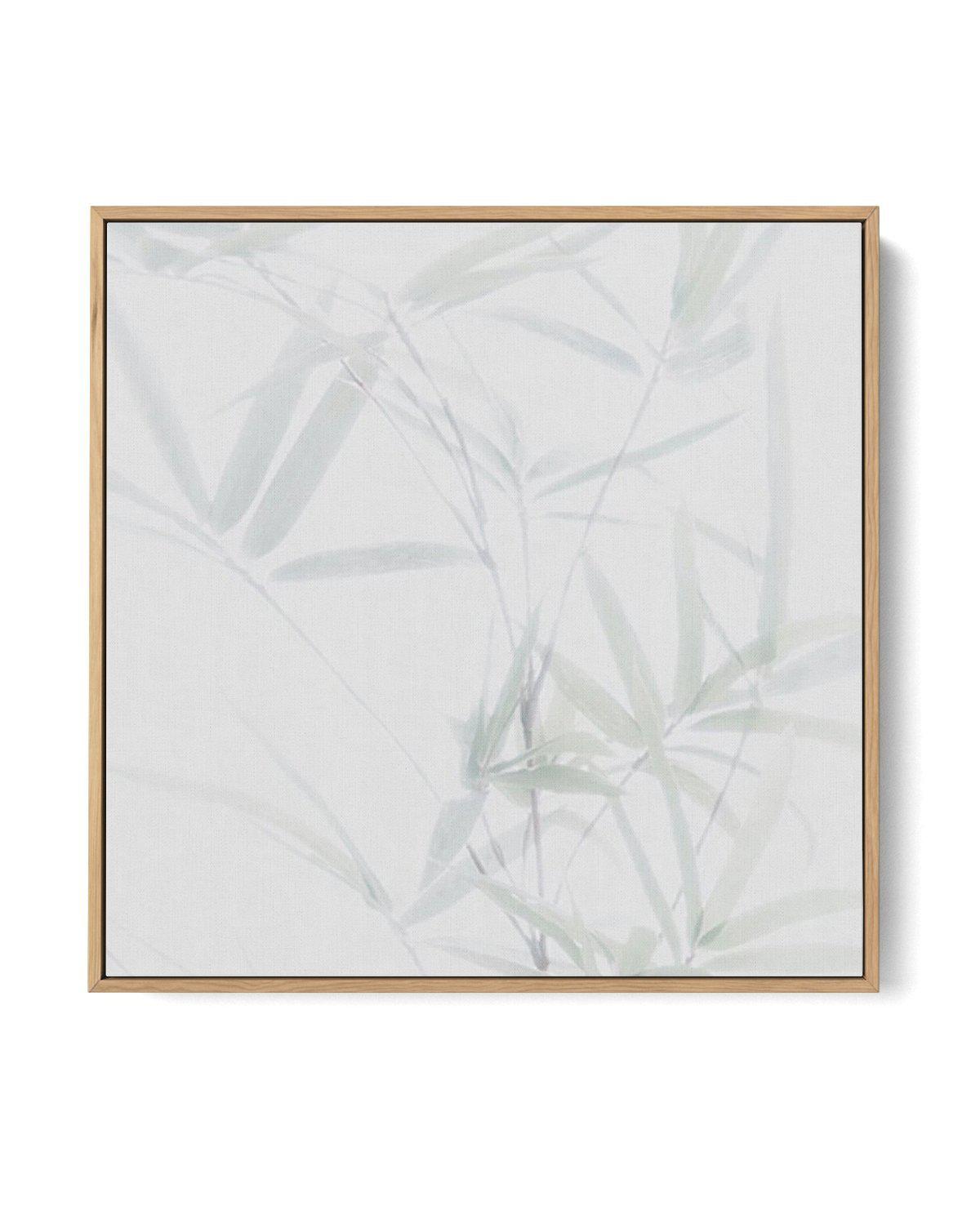 Bamboo II SQ | Framed Canvas-CANVAS-You can shop wall art online with Olive et Oriel for everything from abstract art to fun kids wall art. Our beautiful modern art prints and canvas art are available from large canvas prints to wall art paintings and our proudly Australian artwork collection offers only the highest quality framed large wall art and canvas art Australia - You can buy fashion photography prints or Hampton print posters and paintings on canvas from Olive et Oriel and have them del