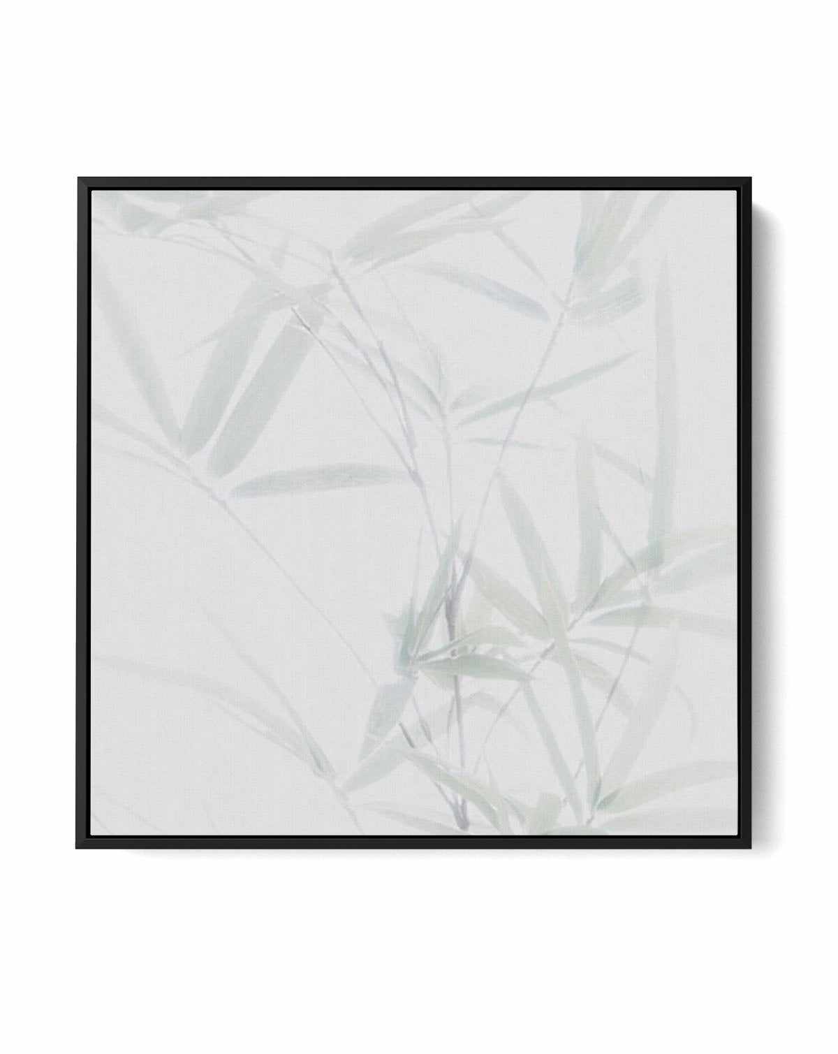 Bamboo II SQ | Framed Canvas-CANVAS-You can shop wall art online with Olive et Oriel for everything from abstract art to fun kids wall art. Our beautiful modern art prints and canvas art are available from large canvas prints to wall art paintings and our proudly Australian artwork collection offers only the highest quality framed large wall art and canvas art Australia - You can buy fashion photography prints or Hampton print posters and paintings on canvas from Olive et Oriel and have them del