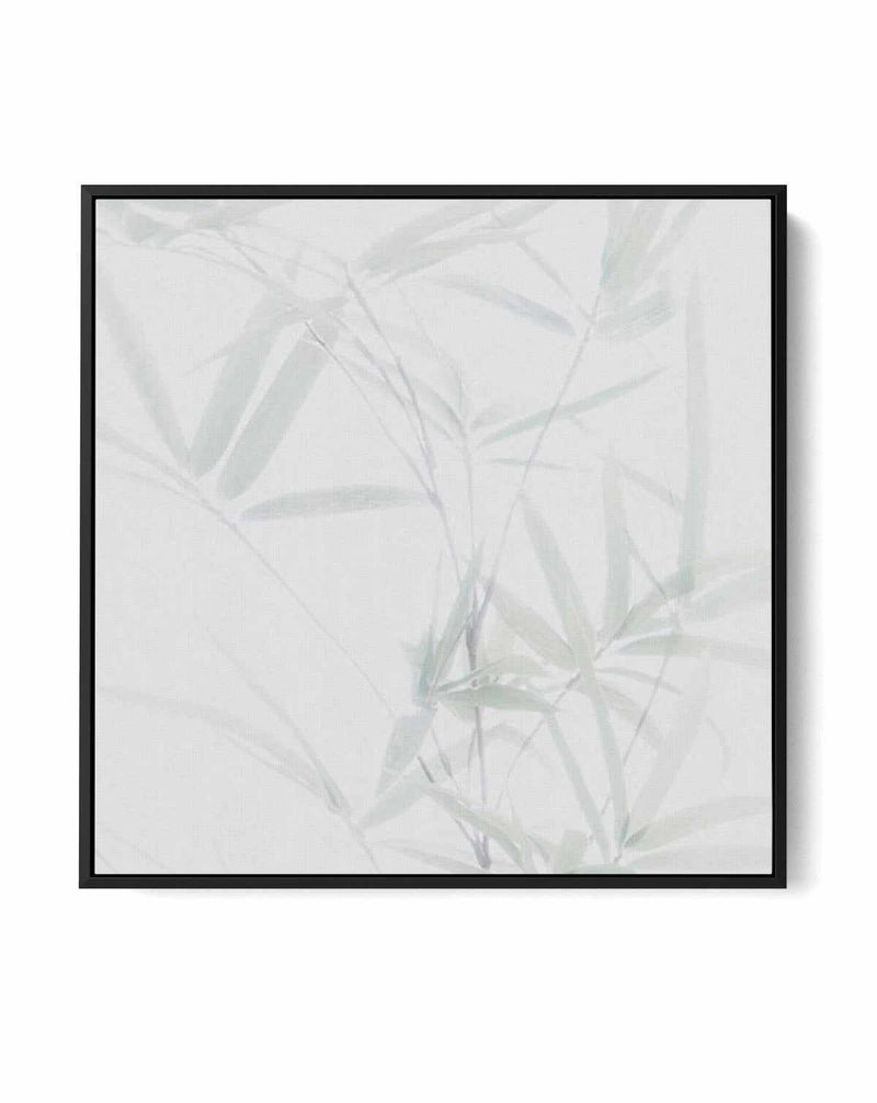 Bamboo II SQ | Framed Canvas-CANVAS-You can shop wall art online with Olive et Oriel for everything from abstract art to fun kids wall art. Our beautiful modern art prints and canvas art are available from large canvas prints to wall art paintings and our proudly Australian artwork collection offers only the highest quality framed large wall art and canvas art Australia - You can buy fashion photography prints or Hampton print posters and paintings on canvas from Olive et Oriel and have them del