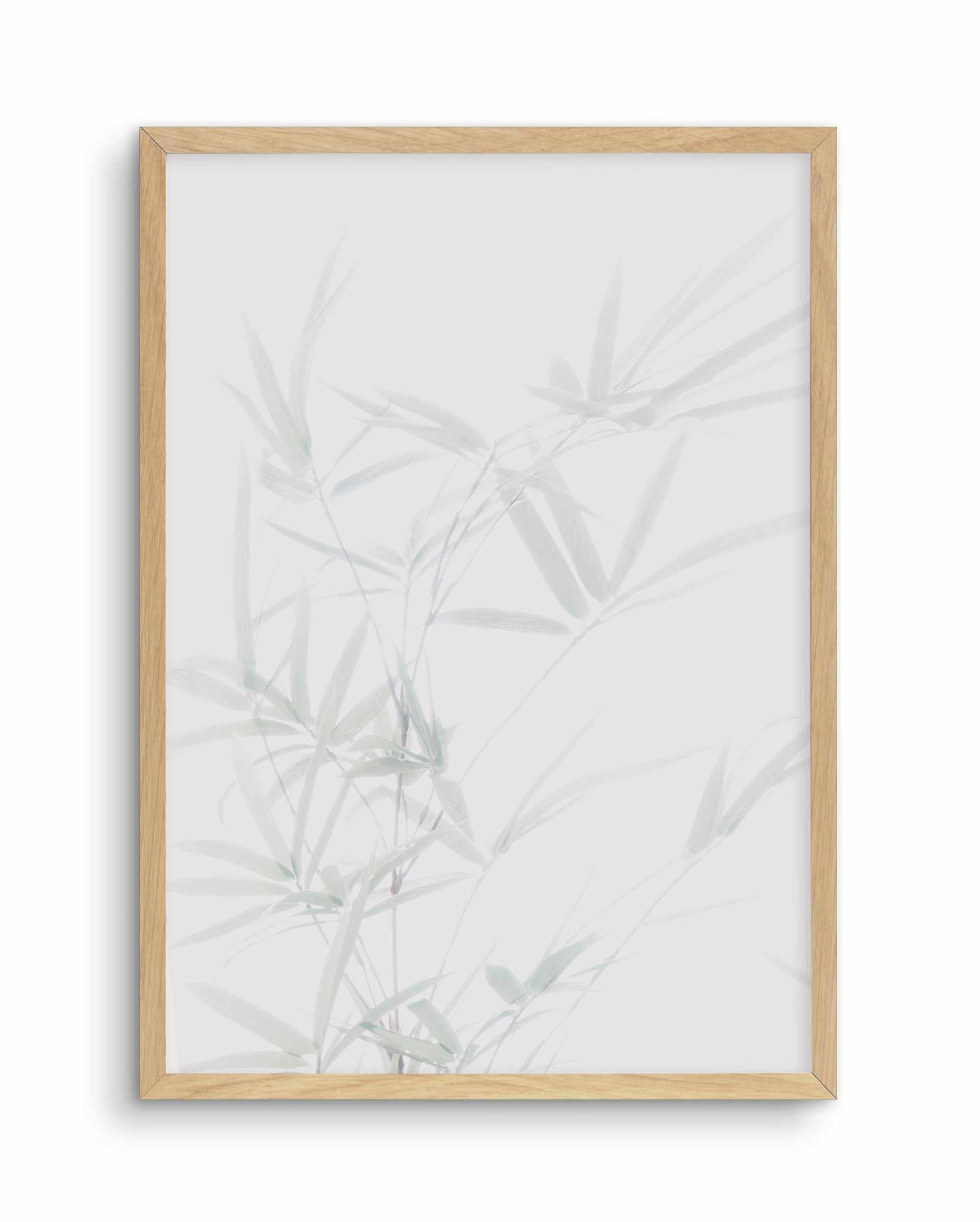 Bamboo I Art Print-PRINT-Olive et Oriel-Olive et Oriel-A5 | 5.8" x 8.3" | 14.8 x 21cm-Oak-With White Border-Buy-Australian-Art-Prints-Online-with-Olive-et-Oriel-Your-Artwork-Specialists-Austrailia-Decorate-With-Coastal-Photo-Wall-Art-Prints-From-Our-Beach-House-Artwork-Collection-Fine-Poster-and-Framed-Artwork