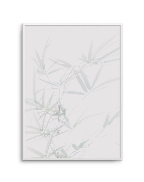 Bamboo I Art Print-PRINT-Olive et Oriel-Olive et Oriel-A5 | 5.8" x 8.3" | 14.8 x 21cm-Unframed Art Print-With White Border-Buy-Australian-Art-Prints-Online-with-Olive-et-Oriel-Your-Artwork-Specialists-Austrailia-Decorate-With-Coastal-Photo-Wall-Art-Prints-From-Our-Beach-House-Artwork-Collection-Fine-Poster-and-Framed-Artwork