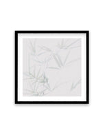 Bamboo No I | SQ Art Print-PRINT-Olive et Oriel-Olive et Oriel-70x70 cm | 27.5" x 27.5"-Black-With White Border-Buy-Australian-Art-Prints-Online-with-Olive-et-Oriel-Your-Artwork-Specialists-Austrailia-Decorate-With-Coastal-Photo-Wall-Art-Prints-From-Our-Beach-House-Artwork-Collection-Fine-Poster-and-Framed-Artwork