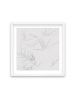 Bamboo No I | SQ Art Print-PRINT-Olive et Oriel-Olive et Oriel-70x70 cm | 27.5" x 27.5"-White-With White Border-Buy-Australian-Art-Prints-Online-with-Olive-et-Oriel-Your-Artwork-Specialists-Austrailia-Decorate-With-Coastal-Photo-Wall-Art-Prints-From-Our-Beach-House-Artwork-Collection-Fine-Poster-and-Framed-Artwork