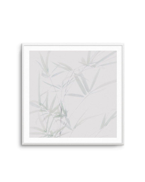 Bamboo No I | SQ Art Print-PRINT-Olive et Oriel-Olive et Oriel-Buy-Australian-Art-Prints-Online-with-Olive-et-Oriel-Your-Artwork-Specialists-Austrailia-Decorate-With-Coastal-Photo-Wall-Art-Prints-From-Our-Beach-House-Artwork-Collection-Fine-Poster-and-Framed-Artwork