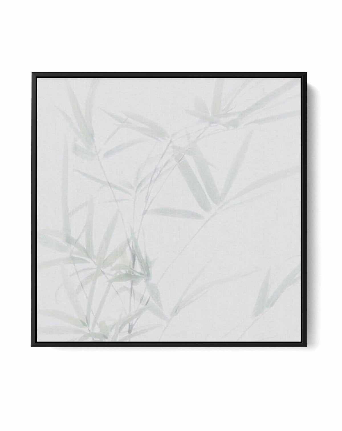 Bamboo No I SQ | Framed Canvas-CANVAS-You can shop wall art online with Olive et Oriel for everything from abstract art to fun kids wall art. Our beautiful modern art prints and canvas art are available from large canvas prints to wall art paintings and our proudly Australian artwork collection offers only the highest quality framed large wall art and canvas art Australia - You can buy fashion photography prints or Hampton print posters and paintings on canvas from Olive et Oriel and have them d