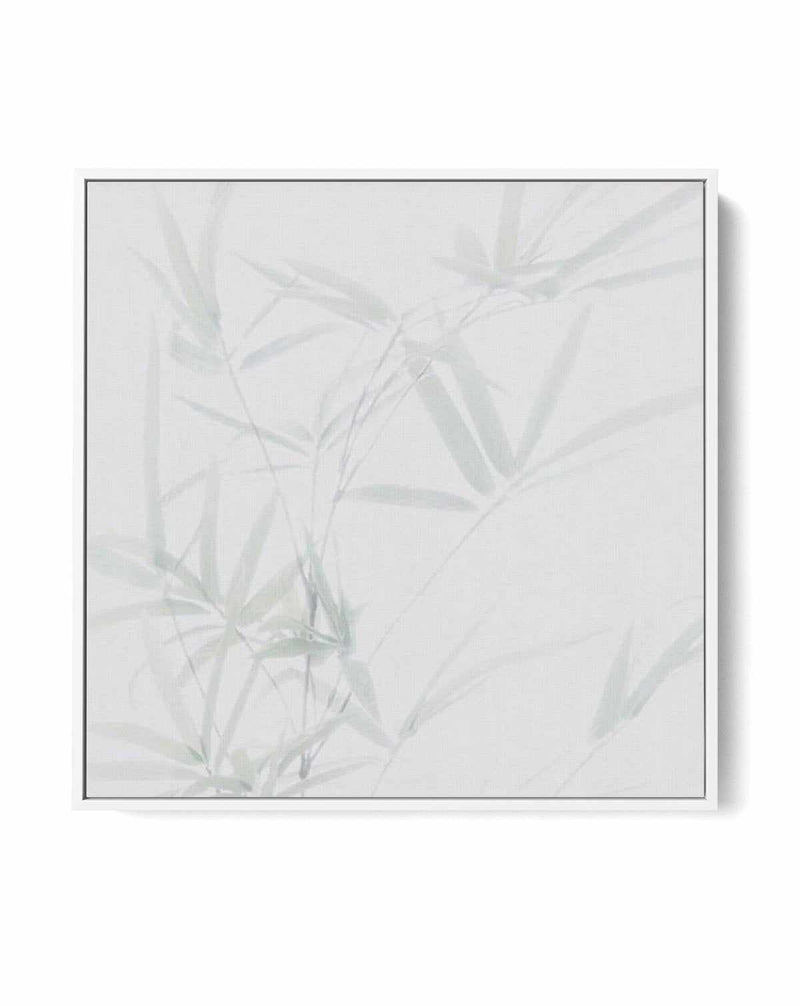 Bamboo No I SQ | Framed Canvas-CANVAS-You can shop wall art online with Olive et Oriel for everything from abstract art to fun kids wall art. Our beautiful modern art prints and canvas art are available from large canvas prints to wall art paintings and our proudly Australian artwork collection offers only the highest quality framed large wall art and canvas art Australia - You can buy fashion photography prints or Hampton print posters and paintings on canvas from Olive et Oriel and have them d
