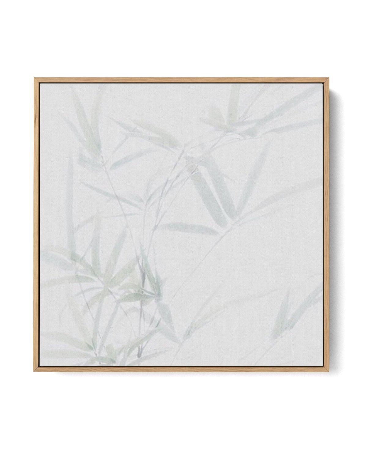 Bamboo No I SQ | Framed Canvas-CANVAS-You can shop wall art online with Olive et Oriel for everything from abstract art to fun kids wall art. Our beautiful modern art prints and canvas art are available from large canvas prints to wall art paintings and our proudly Australian artwork collection offers only the highest quality framed large wall art and canvas art Australia - You can buy fashion photography prints or Hampton print posters and paintings on canvas from Olive et Oriel and have them d