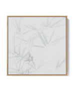 Bamboo No I SQ | Framed Canvas-CANVAS-You can shop wall art online with Olive et Oriel for everything from abstract art to fun kids wall art. Our beautiful modern art prints and canvas art are available from large canvas prints to wall art paintings and our proudly Australian artwork collection offers only the highest quality framed large wall art and canvas art Australia - You can buy fashion photography prints or Hampton print posters and paintings on canvas from Olive et Oriel and have them d