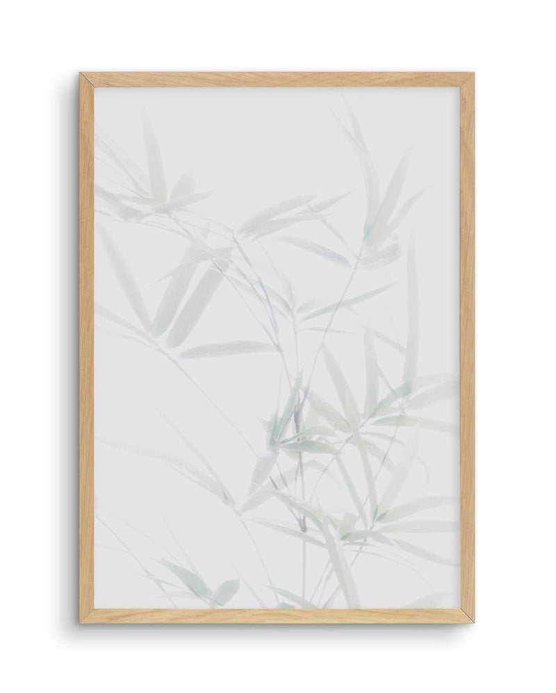 Bamboo II Art Print-PRINT-Olive et Oriel-Olive et Oriel-A5 | 5.8" x 8.3" | 14.8 x 21cm-Oak-With White Border-Buy-Australian-Art-Prints-Online-with-Olive-et-Oriel-Your-Artwork-Specialists-Austrailia-Decorate-With-Coastal-Photo-Wall-Art-Prints-From-Our-Beach-House-Artwork-Collection-Fine-Poster-and-Framed-Artwork
