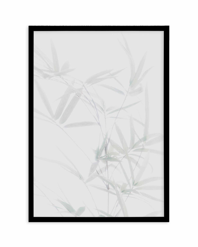 Bamboo II Art Print-PRINT-Olive et Oriel-Olive et Oriel-A5 | 5.8" x 8.3" | 14.8 x 21cm-Black-With White Border-Buy-Australian-Art-Prints-Online-with-Olive-et-Oriel-Your-Artwork-Specialists-Austrailia-Decorate-With-Coastal-Photo-Wall-Art-Prints-From-Our-Beach-House-Artwork-Collection-Fine-Poster-and-Framed-Artwork