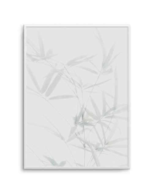Bamboo II Art Print-PRINT-Olive et Oriel-Olive et Oriel-A5 | 5.8" x 8.3" | 14.8 x 21cm-Unframed Art Print-With White Border-Buy-Australian-Art-Prints-Online-with-Olive-et-Oriel-Your-Artwork-Specialists-Austrailia-Decorate-With-Coastal-Photo-Wall-Art-Prints-From-Our-Beach-House-Artwork-Collection-Fine-Poster-and-Framed-Artwork