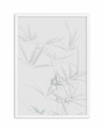 Bamboo II Art Print-PRINT-Olive et Oriel-Olive et Oriel-A5 | 5.8" x 8.3" | 14.8 x 21cm-White-With White Border-Buy-Australian-Art-Prints-Online-with-Olive-et-Oriel-Your-Artwork-Specialists-Austrailia-Decorate-With-Coastal-Photo-Wall-Art-Prints-From-Our-Beach-House-Artwork-Collection-Fine-Poster-and-Framed-Artwork