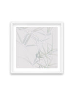 Bamboo II | SQ Art Print-PRINT-Olive et Oriel-Olive et Oriel-70x70 cm | 27.5" x 27.5"-White-With White Border-Buy-Australian-Art-Prints-Online-with-Olive-et-Oriel-Your-Artwork-Specialists-Austrailia-Decorate-With-Coastal-Photo-Wall-Art-Prints-From-Our-Beach-House-Artwork-Collection-Fine-Poster-and-Framed-Artwork