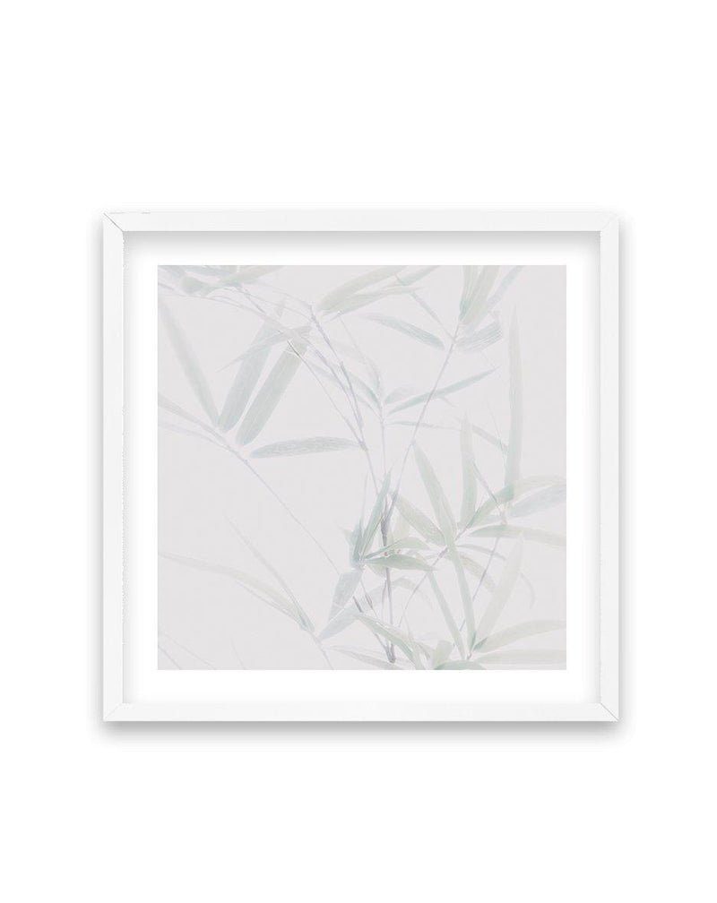 Bamboo II | SQ Art Print-PRINT-Olive et Oriel-Olive et Oriel-70x70 cm | 27.5" x 27.5"-White-With White Border-Buy-Australian-Art-Prints-Online-with-Olive-et-Oriel-Your-Artwork-Specialists-Austrailia-Decorate-With-Coastal-Photo-Wall-Art-Prints-From-Our-Beach-House-Artwork-Collection-Fine-Poster-and-Framed-Artwork