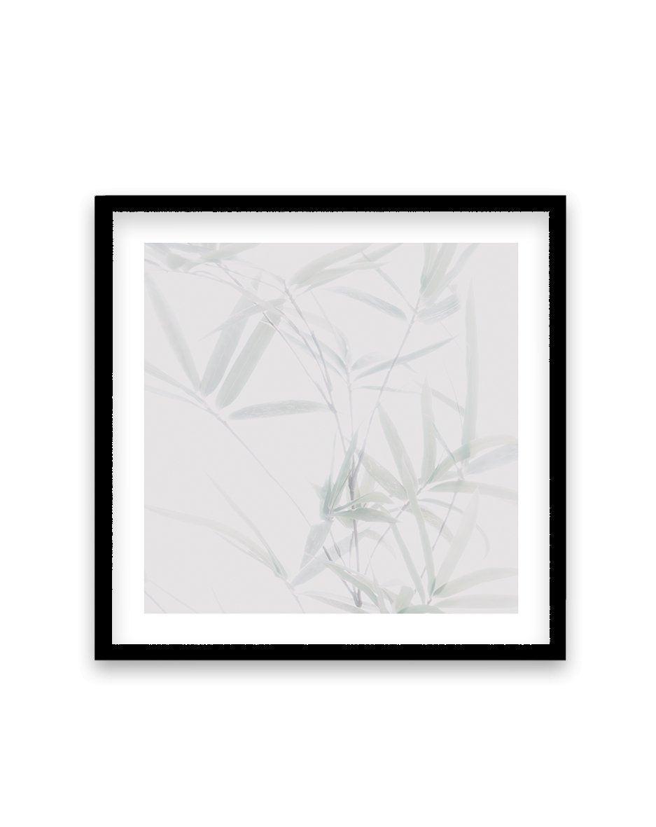 Bamboo II | SQ Art Print-PRINT-Olive et Oriel-Olive et Oriel-70x70 cm | 27.5" x 27.5"-Black-With White Border-Buy-Australian-Art-Prints-Online-with-Olive-et-Oriel-Your-Artwork-Specialists-Austrailia-Decorate-With-Coastal-Photo-Wall-Art-Prints-From-Our-Beach-House-Artwork-Collection-Fine-Poster-and-Framed-Artwork