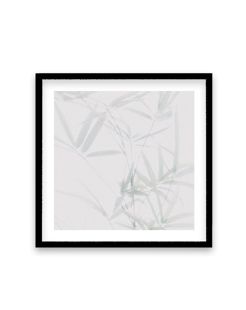 Bamboo II | SQ Art Print-PRINT-Olive et Oriel-Olive et Oriel-70x70 cm | 27.5" x 27.5"-Black-With White Border-Buy-Australian-Art-Prints-Online-with-Olive-et-Oriel-Your-Artwork-Specialists-Austrailia-Decorate-With-Coastal-Photo-Wall-Art-Prints-From-Our-Beach-House-Artwork-Collection-Fine-Poster-and-Framed-Artwork