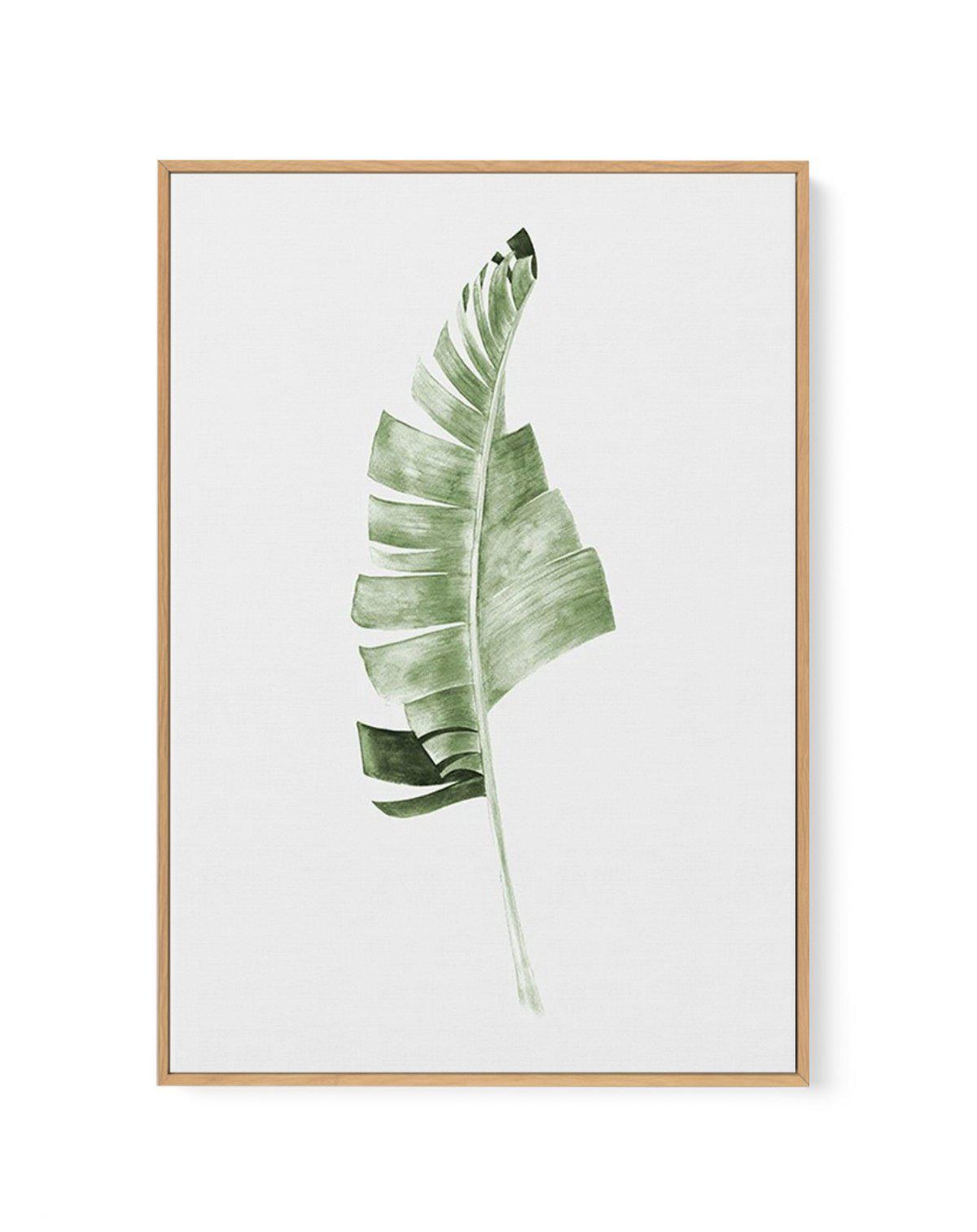 Banana Leaf I | Framed Canvas-CANVAS-You can shop wall art online with Olive et Oriel for everything from abstract art to fun kids wall art. Our beautiful modern art prints and canvas art are available from large canvas prints to wall art paintings and our proudly Australian artwork collection offers only the highest quality framed large wall art and canvas art Australia - You can buy fashion photography prints or Hampton print posters and paintings on canvas from Olive et Oriel and have them de