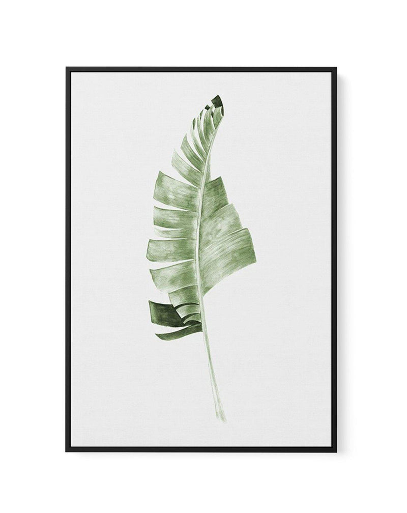 Banana Leaf I | Framed Canvas-CANVAS-You can shop wall art online with Olive et Oriel for everything from abstract art to fun kids wall art. Our beautiful modern art prints and canvas art are available from large canvas prints to wall art paintings and our proudly Australian artwork collection offers only the highest quality framed large wall art and canvas art Australia - You can buy fashion photography prints or Hampton print posters and paintings on canvas from Olive et Oriel and have them de