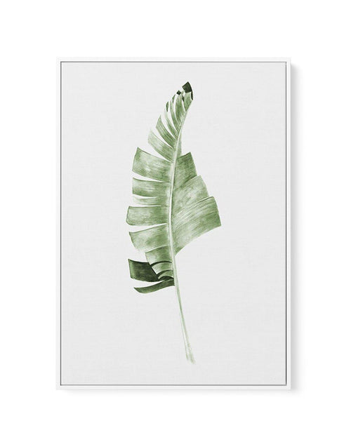 Banana Leaf I | Framed Canvas-CANVAS-You can shop wall art online with Olive et Oriel for everything from abstract art to fun kids wall art. Our beautiful modern art prints and canvas art are available from large canvas prints to wall art paintings and our proudly Australian artwork collection offers only the highest quality framed large wall art and canvas art Australia - You can buy fashion photography prints or Hampton print posters and paintings on canvas from Olive et Oriel and have them de