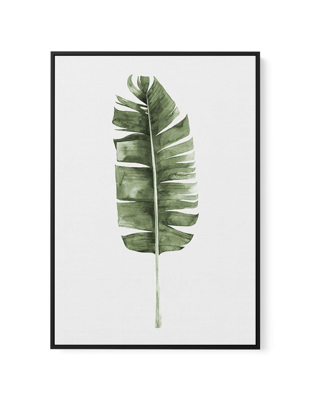 Banana Leaf II | Framed Canvas-CANVAS-You can shop wall art online with Olive et Oriel for everything from abstract art to fun kids wall art. Our beautiful modern art prints and canvas art are available from large canvas prints to wall art paintings and our proudly Australian artwork collection offers only the highest quality framed large wall art and canvas art Australia - You can buy fashion photography prints or Hampton print posters and paintings on canvas from Olive et Oriel and have them d