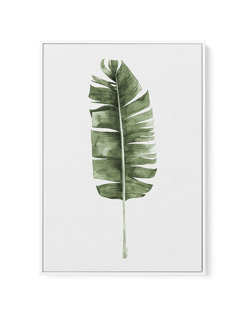 Banana Leaf II | Framed Canvas-CANVAS-You can shop wall art online with Olive et Oriel for everything from abstract art to fun kids wall art. Our beautiful modern art prints and canvas art are available from large canvas prints to wall art paintings and our proudly Australian artwork collection offers only the highest quality framed large wall art and canvas art Australia - You can buy fashion photography prints or Hampton print posters and paintings on canvas from Olive et Oriel and have them d