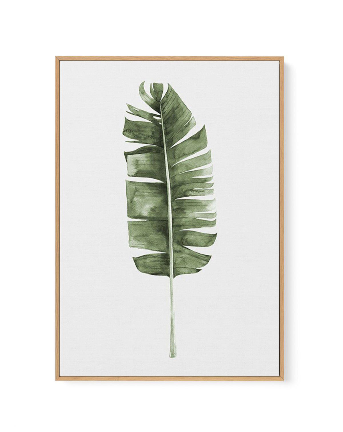 Banana Leaf II | Framed Canvas-CANVAS-You can shop wall art online with Olive et Oriel for everything from abstract art to fun kids wall art. Our beautiful modern art prints and canvas art are available from large canvas prints to wall art paintings and our proudly Australian artwork collection offers only the highest quality framed large wall art and canvas art Australia - You can buy fashion photography prints or Hampton print posters and paintings on canvas from Olive et Oriel and have them d