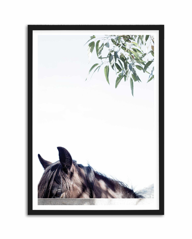 Banjo Art Print-PRINT-Olive et Oriel-Olive et Oriel-A4 | 8.3" x 11.7" | 21 x 29.7cm-Black-With White Border-Buy-Australian-Art-Prints-Online-with-Olive-et-Oriel-Your-Artwork-Specialists-Austrailia-Decorate-With-Coastal-Photo-Wall-Art-Prints-From-Our-Beach-House-Artwork-Collection-Fine-Poster-and-Framed-Artwork