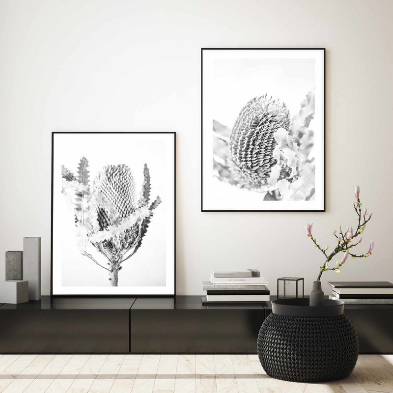 Banksia I B&W Art Print-PRINT-Olive et Oriel-Olive et Oriel-Buy-Australian-Art-Prints-Online-with-Olive-et-Oriel-Your-Artwork-Specialists-Austrailia-Decorate-With-Coastal-Photo-Wall-Art-Prints-From-Our-Beach-House-Artwork-Collection-Fine-Poster-and-Framed-Artwork