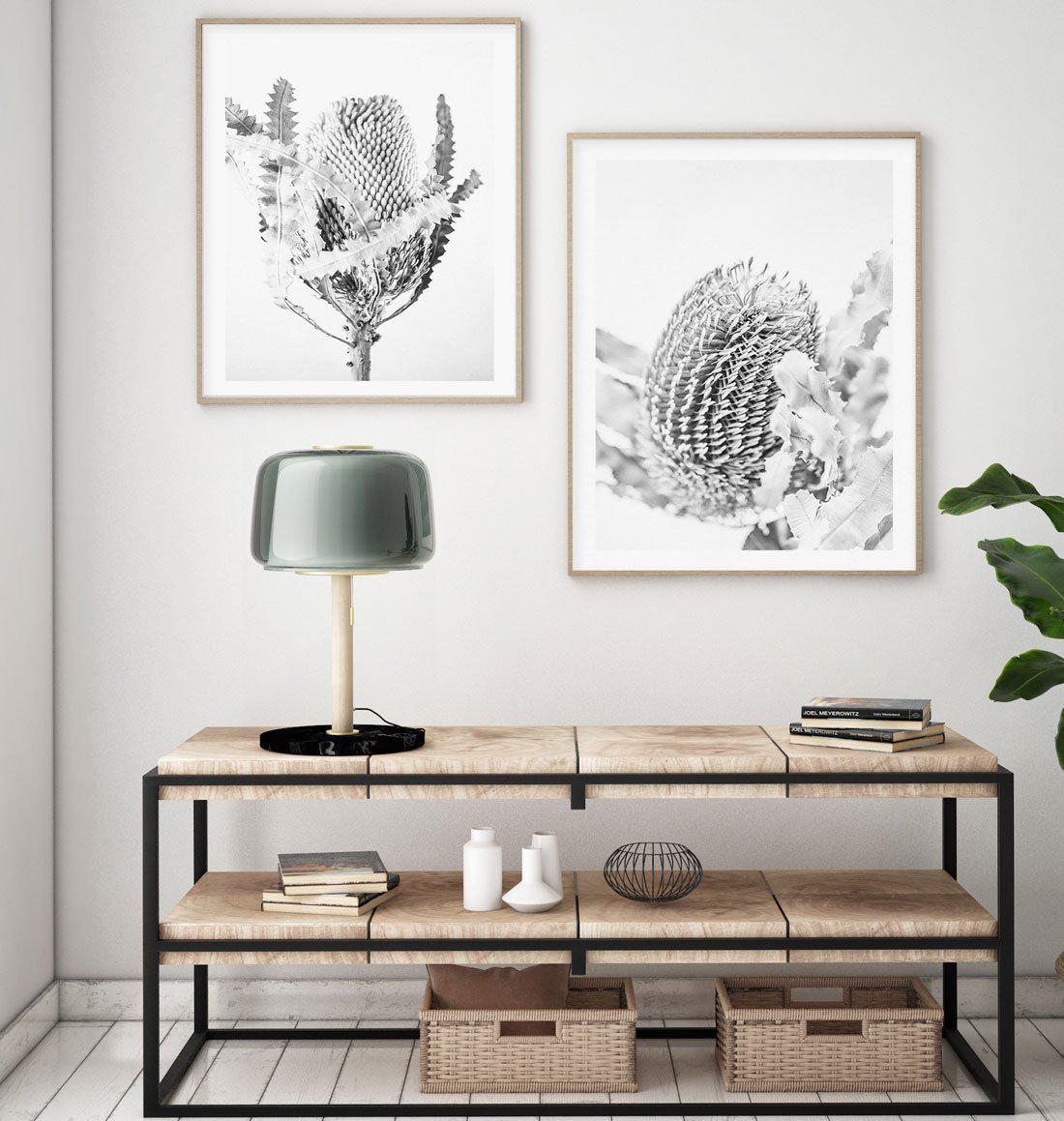 Banksia I B&W Art Print-PRINT-Olive et Oriel-Olive et Oriel-Buy-Australian-Art-Prints-Online-with-Olive-et-Oriel-Your-Artwork-Specialists-Austrailia-Decorate-With-Coastal-Photo-Wall-Art-Prints-From-Our-Beach-House-Artwork-Collection-Fine-Poster-and-Framed-Artwork