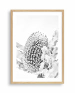 Banksia II B&W Art Print-PRINT-Olive et Oriel-Olive et Oriel-A5 | 5.8" x 8.3" | 14.8 x 21cm-Oak-With White Border-Buy-Australian-Art-Prints-Online-with-Olive-et-Oriel-Your-Artwork-Specialists-Austrailia-Decorate-With-Coastal-Photo-Wall-Art-Prints-From-Our-Beach-House-Artwork-Collection-Fine-Poster-and-Framed-Artwork