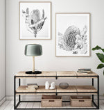 Banksia II B&W Art Print-PRINT-Olive et Oriel-Olive et Oriel-Buy-Australian-Art-Prints-Online-with-Olive-et-Oriel-Your-Artwork-Specialists-Austrailia-Decorate-With-Coastal-Photo-Wall-Art-Prints-From-Our-Beach-House-Artwork-Collection-Fine-Poster-and-Framed-Artwork