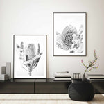 Banksia II B&W Art Print-PRINT-Olive et Oriel-Olive et Oriel-Buy-Australian-Art-Prints-Online-with-Olive-et-Oriel-Your-Artwork-Specialists-Austrailia-Decorate-With-Coastal-Photo-Wall-Art-Prints-From-Our-Beach-House-Artwork-Collection-Fine-Poster-and-Framed-Artwork