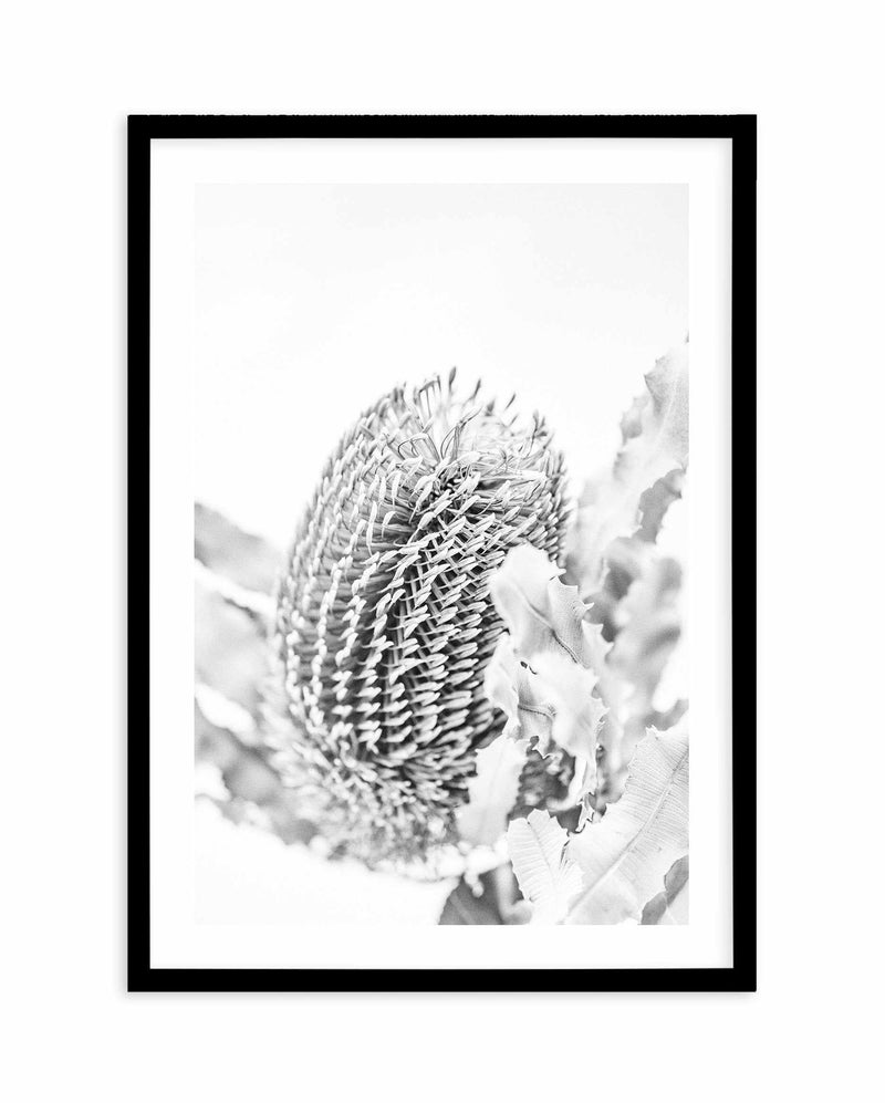 Banksia II B&W Art Print-PRINT-Olive et Oriel-Olive et Oriel-A5 | 5.8" x 8.3" | 14.8 x 21cm-Black-With White Border-Buy-Australian-Art-Prints-Online-with-Olive-et-Oriel-Your-Artwork-Specialists-Austrailia-Decorate-With-Coastal-Photo-Wall-Art-Prints-From-Our-Beach-House-Artwork-Collection-Fine-Poster-and-Framed-Artwork