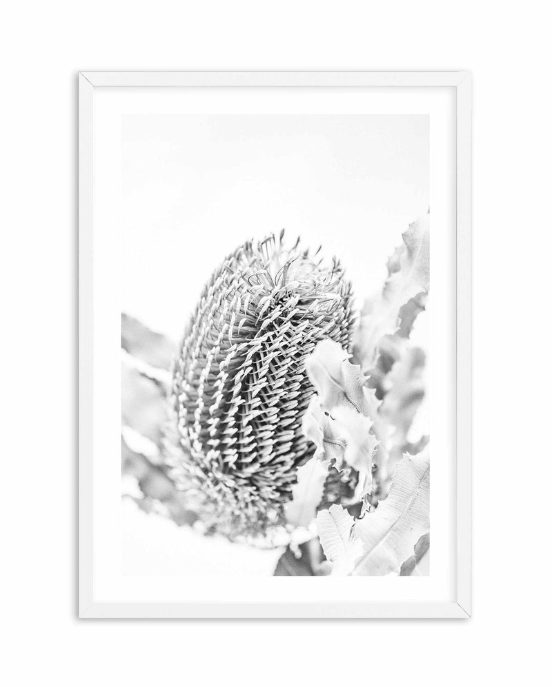 Banksia II B&W Art Print-PRINT-Olive et Oriel-Olive et Oriel-A5 | 5.8" x 8.3" | 14.8 x 21cm-White-With White Border-Buy-Australian-Art-Prints-Online-with-Olive-et-Oriel-Your-Artwork-Specialists-Austrailia-Decorate-With-Coastal-Photo-Wall-Art-Prints-From-Our-Beach-House-Artwork-Collection-Fine-Poster-and-Framed-Artwork