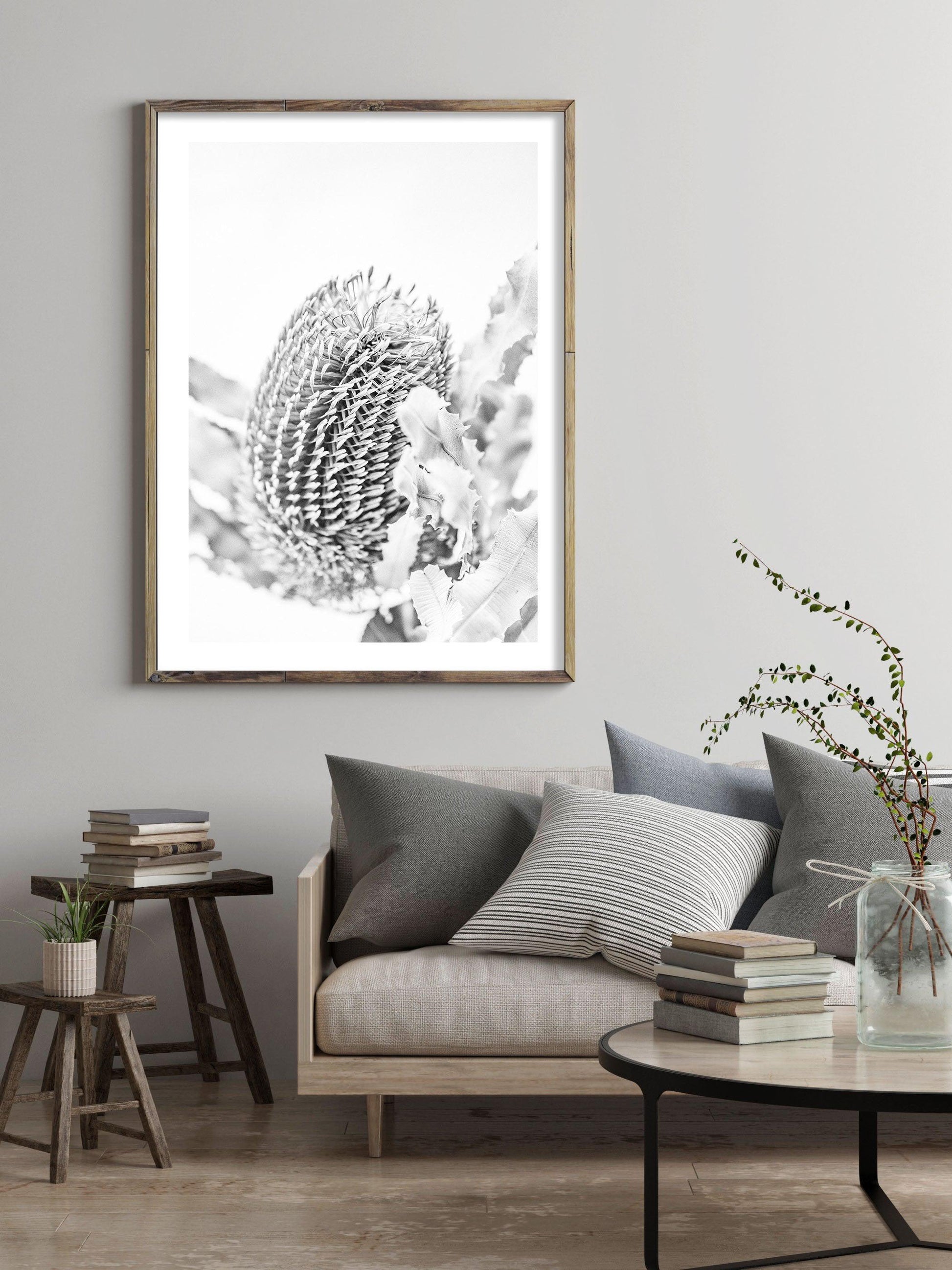 Banksia II B&W Art Print-PRINT-Olive et Oriel-Olive et Oriel-Buy-Australian-Art-Prints-Online-with-Olive-et-Oriel-Your-Artwork-Specialists-Austrailia-Decorate-With-Coastal-Photo-Wall-Art-Prints-From-Our-Beach-House-Artwork-Collection-Fine-Poster-and-Framed-Artwork