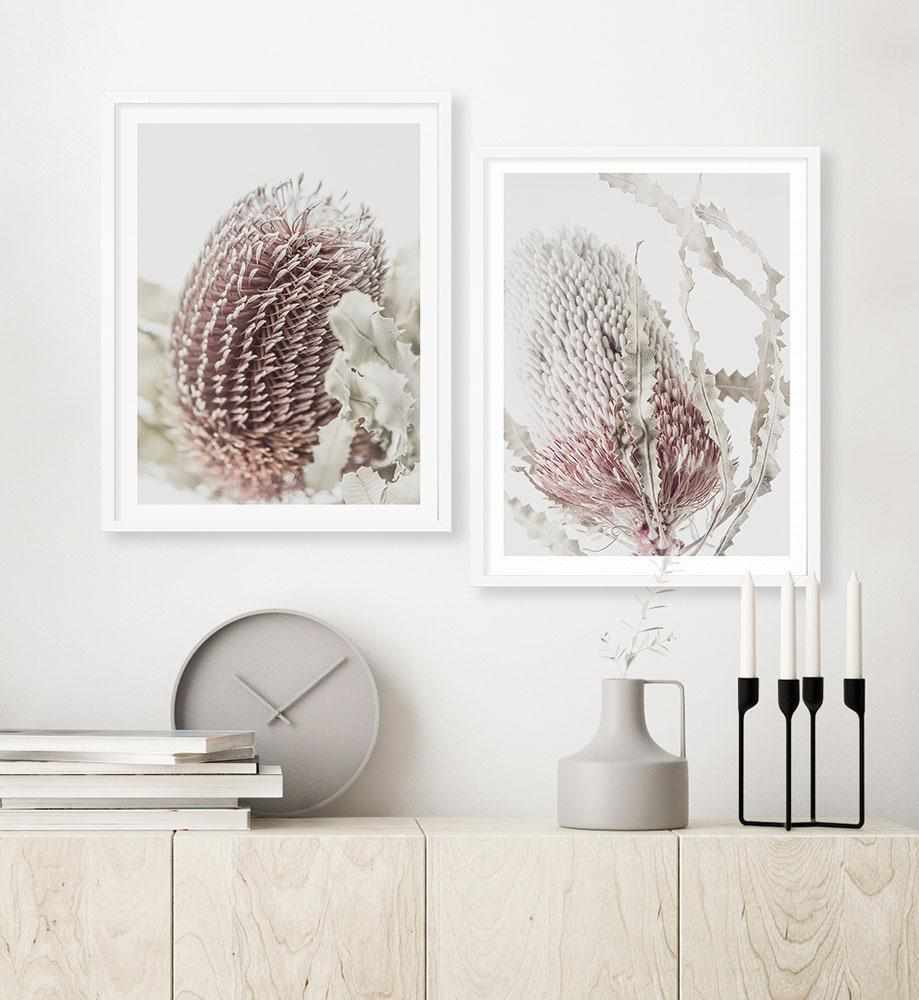 Banksia I Art Print-PRINT-Olive et Oriel-Olive et Oriel-Buy-Australian-Art-Prints-Online-with-Olive-et-Oriel-Your-Artwork-Specialists-Austrailia-Decorate-With-Coastal-Photo-Wall-Art-Prints-From-Our-Beach-House-Artwork-Collection-Fine-Poster-and-Framed-Artwork