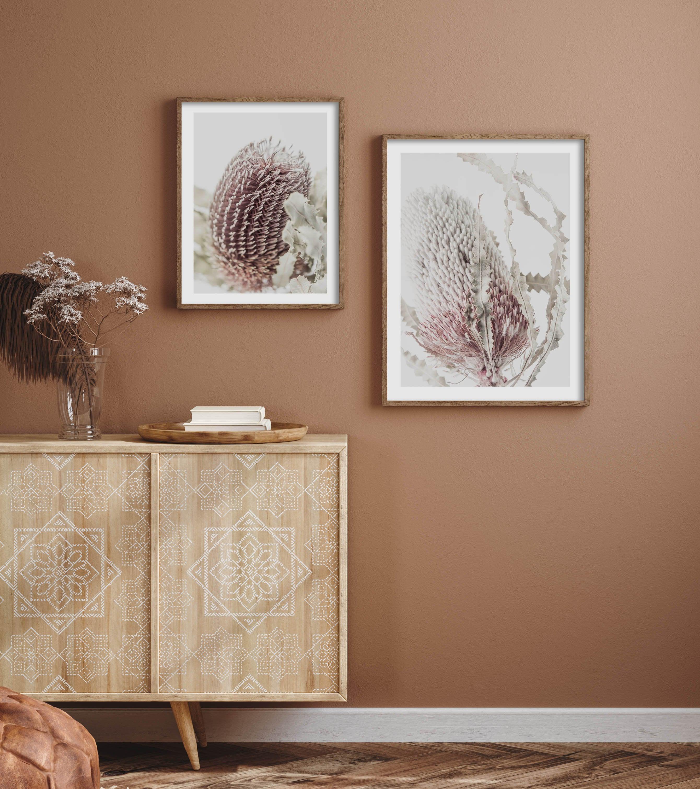 Banksia I Art Print-PRINT-Olive et Oriel-Olive et Oriel-Buy-Australian-Art-Prints-Online-with-Olive-et-Oriel-Your-Artwork-Specialists-Austrailia-Decorate-With-Coastal-Photo-Wall-Art-Prints-From-Our-Beach-House-Artwork-Collection-Fine-Poster-and-Framed-Artwork