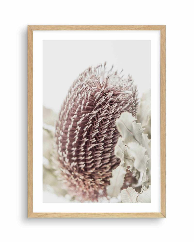 Banksia I Art Print-PRINT-Olive et Oriel-Olive et Oriel-A5 | 5.8" x 8.3" | 14.8 x 21cm-Oak-With White Border-Buy-Australian-Art-Prints-Online-with-Olive-et-Oriel-Your-Artwork-Specialists-Austrailia-Decorate-With-Coastal-Photo-Wall-Art-Prints-From-Our-Beach-House-Artwork-Collection-Fine-Poster-and-Framed-Artwork