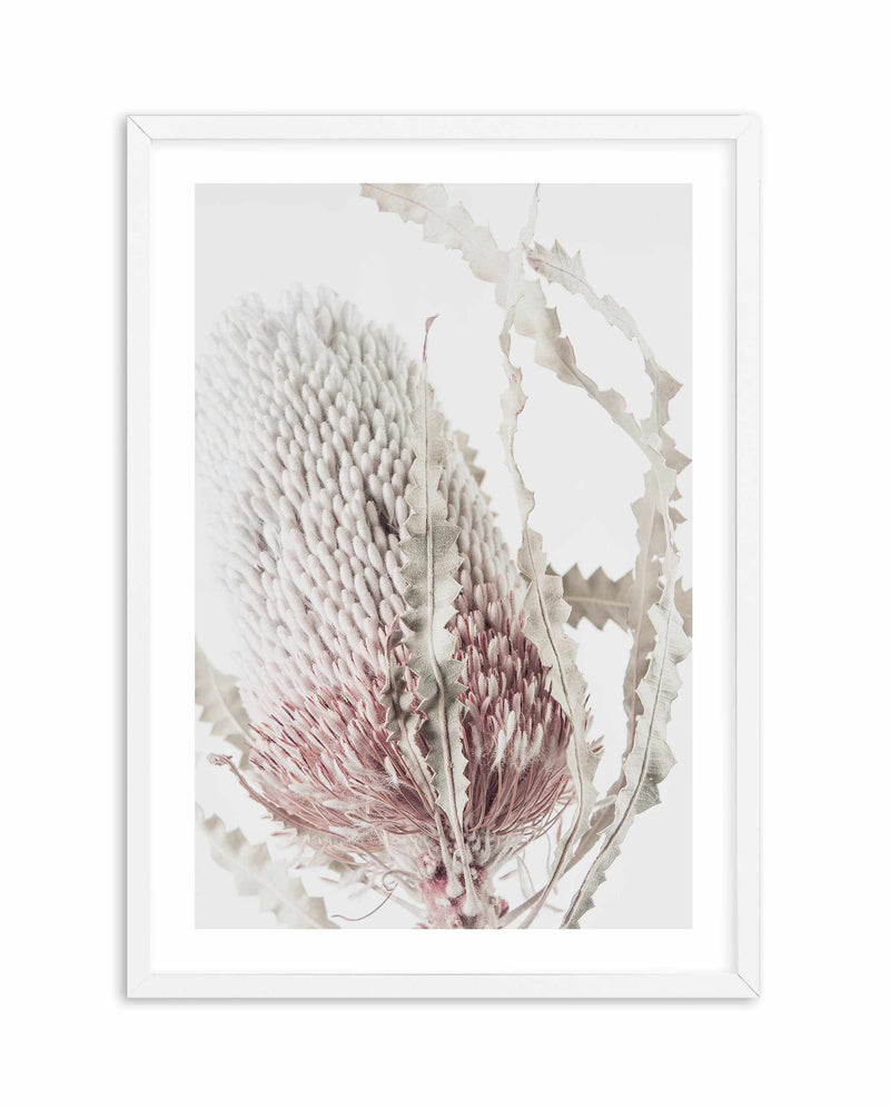 Banksia II Art Print-PRINT-Olive et Oriel-Olive et Oriel-A5 | 5.8" x 8.3" | 14.8 x 21cm-White-With White Border-Buy-Australian-Art-Prints-Online-with-Olive-et-Oriel-Your-Artwork-Specialists-Austrailia-Decorate-With-Coastal-Photo-Wall-Art-Prints-From-Our-Beach-House-Artwork-Collection-Fine-Poster-and-Framed-Artwork