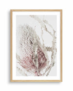 Banksia II Art Print-PRINT-Olive et Oriel-Olive et Oriel-A5 | 5.8" x 8.3" | 14.8 x 21cm-Oak-With White Border-Buy-Australian-Art-Prints-Online-with-Olive-et-Oriel-Your-Artwork-Specialists-Austrailia-Decorate-With-Coastal-Photo-Wall-Art-Prints-From-Our-Beach-House-Artwork-Collection-Fine-Poster-and-Framed-Artwork