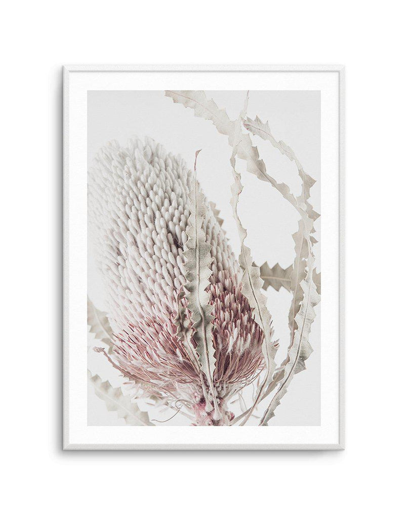 Banksia II Art Print-PRINT-Olive et Oriel-Olive et Oriel-A5 | 5.8" x 8.3" | 14.8 x 21cm-Unframed Art Print-With White Border-Buy-Australian-Art-Prints-Online-with-Olive-et-Oriel-Your-Artwork-Specialists-Austrailia-Decorate-With-Coastal-Photo-Wall-Art-Prints-From-Our-Beach-House-Artwork-Collection-Fine-Poster-and-Framed-Artwork