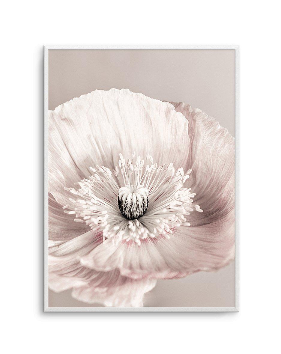 Belle Fleur Art Print-PRINT-Olive et Oriel-Olive et Oriel-A5 | 5.8" x 8.3" | 14.8 x 21cm-Unframed Art Print-With White Border-Buy-Australian-Art-Prints-Online-with-Olive-et-Oriel-Your-Artwork-Specialists-Austrailia-Decorate-With-Coastal-Photo-Wall-Art-Prints-From-Our-Beach-House-Artwork-Collection-Fine-Poster-and-Framed-Artwork