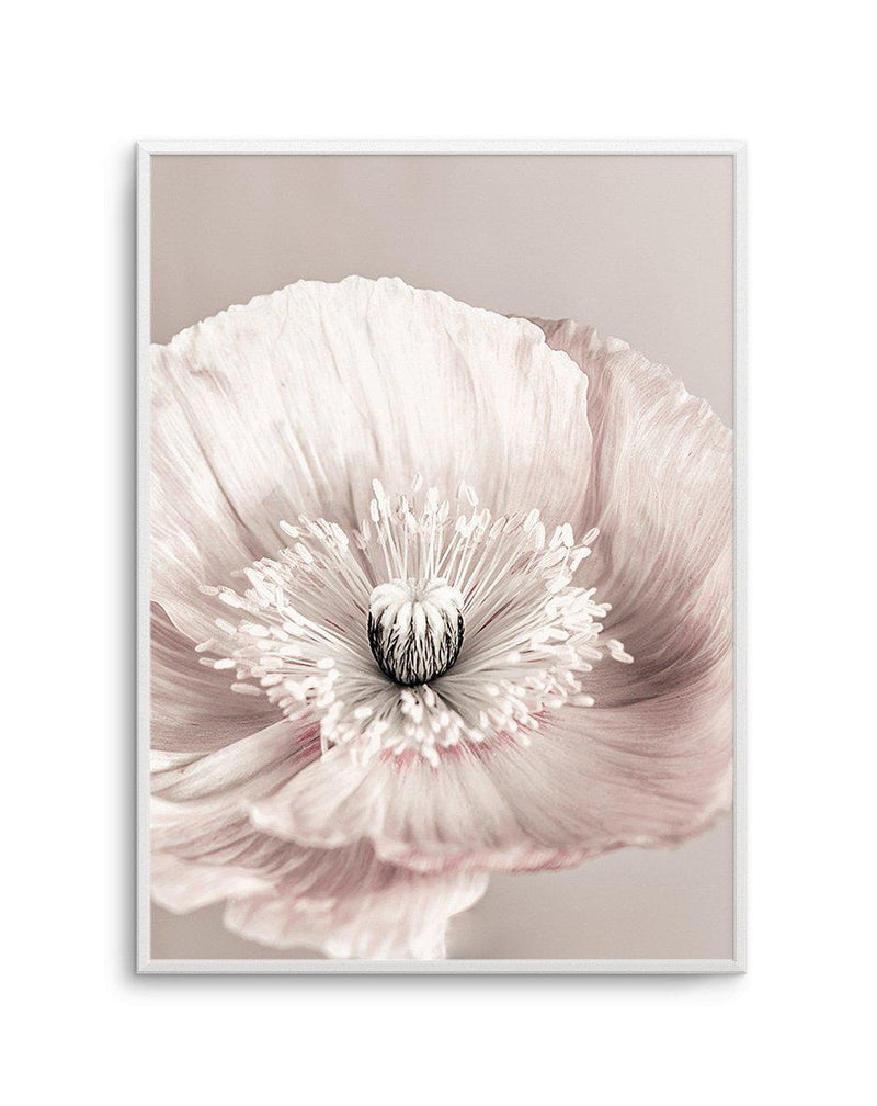 Belle Fleur Art Print-PRINT-Olive et Oriel-Olive et Oriel-A5 | 5.8" x 8.3" | 14.8 x 21cm-Unframed Art Print-With White Border-Buy-Australian-Art-Prints-Online-with-Olive-et-Oriel-Your-Artwork-Specialists-Austrailia-Decorate-With-Coastal-Photo-Wall-Art-Prints-From-Our-Beach-House-Artwork-Collection-Fine-Poster-and-Framed-Artwork