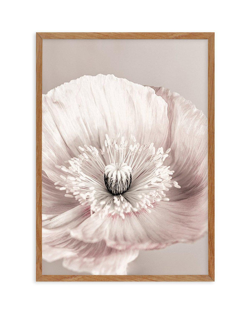 Belle Fleur Art Print-PRINT-Olive et Oriel-Olive et Oriel-50x70 cm | 19.6" x 27.5"-Walnut-With White Border-Buy-Australian-Art-Prints-Online-with-Olive-et-Oriel-Your-Artwork-Specialists-Austrailia-Decorate-With-Coastal-Photo-Wall-Art-Prints-From-Our-Beach-House-Artwork-Collection-Fine-Poster-and-Framed-Artwork